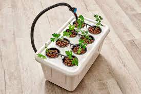 Grow Easy: Top Hydroponic Supplies For Beginners